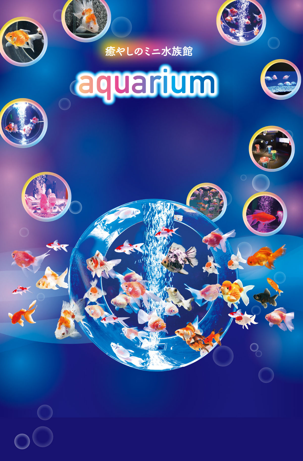 癒やしのミニ水族館 aquarium